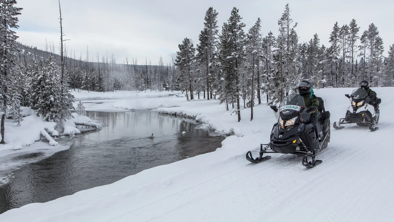 Snowmobilers ride beside a winter river corridor in Yellowstone National Park.