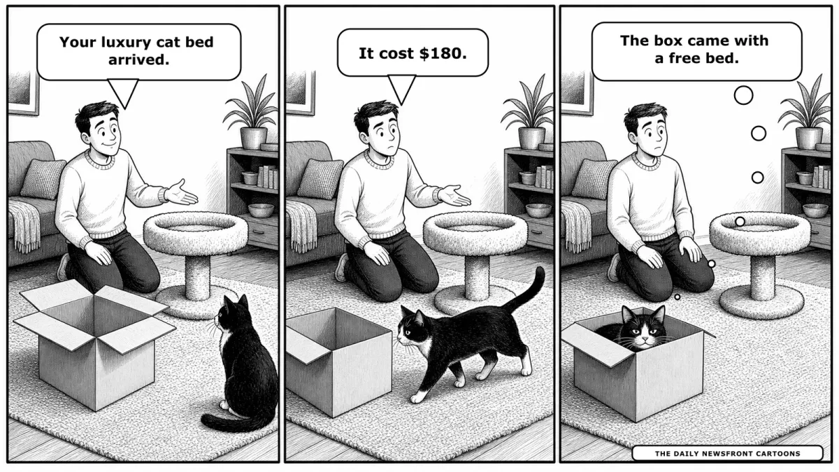 Three-panel black-and-white newspaper cartoon: a person presents an expensive new cat bed, the cat walks past it toward the shipping carton, then curls inside the carton and says, 'The box came with a free bed.'