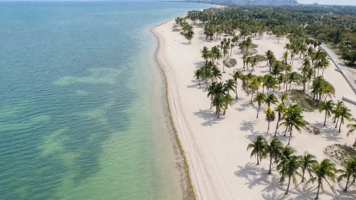 The palm-lined Crandon Park shoreline and shallow Key Biscayne water under a swimming advisory