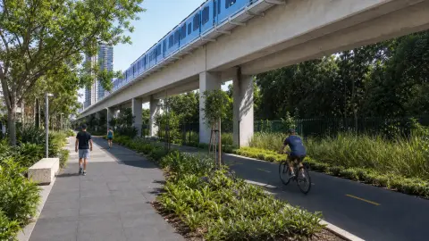 A source-grounded view of The Underline trail beneath Miami-Dade's elevated Metrorail guideway