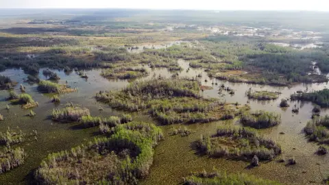 An aerial view of the Okefenokee Swamp wetlands and tree islands inside Okefenokee National Wildlife Refuge