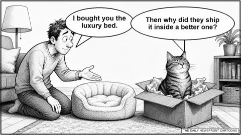 A cat sits proudly inside a cardboard shipping box beside an untouched plush cat bed as its owner says, ‘I bought you the luxury bed,’ and the cat replies that the bed arrived inside a better one.